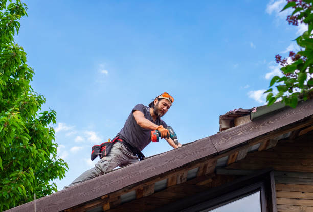 Best Roof Ventilation Installation  in Linden, AZ