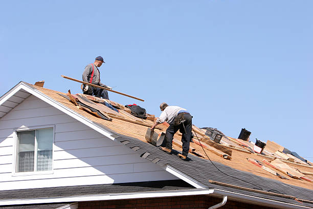 Best Roof Moss and Algae Removal  in Linden, AZ