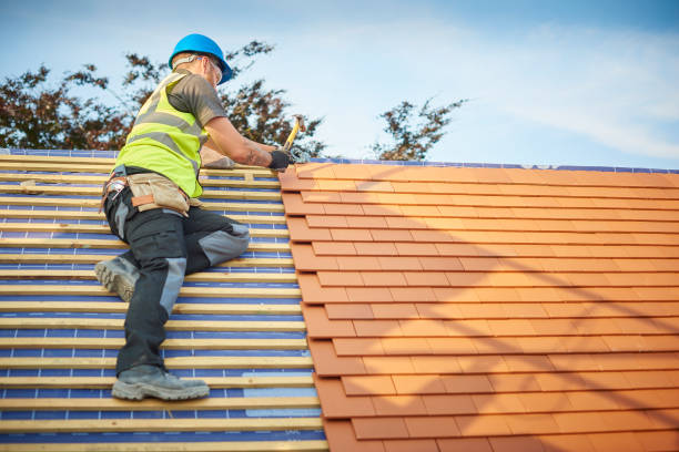 Best Sheet Metal Roofing  in Linden, AZ